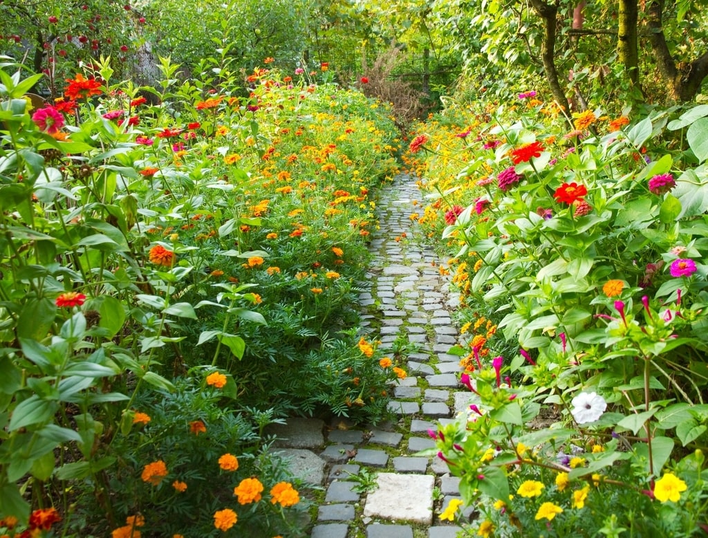 Per scegliere i fiori per il proprio giardino, è importante prima di tutto capire che tipo di ambiente vogliamo ricreare: uno minimal? Uno in stile cottage? Le possibilità sono tante. Nella foto un viale circondato da fiori.