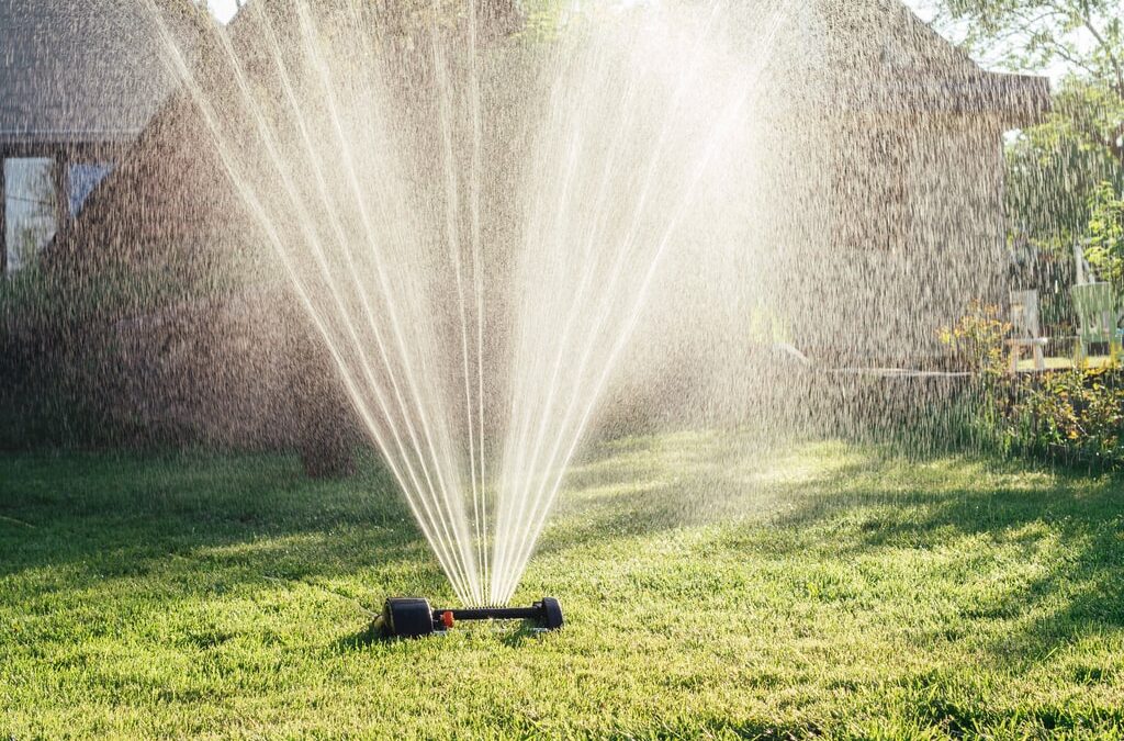Per un prato verde e in salute, tutto ciò di cui abbiamo bisogno sono dei buoni irrigatori per giardino. Ce ne sono tanti. Quale scegliere? Nella foto, un irrigatore a scoparsa.