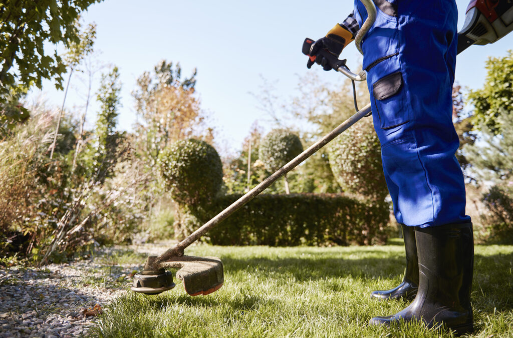 Decespugliatori giardino: quali i migliori? La guida