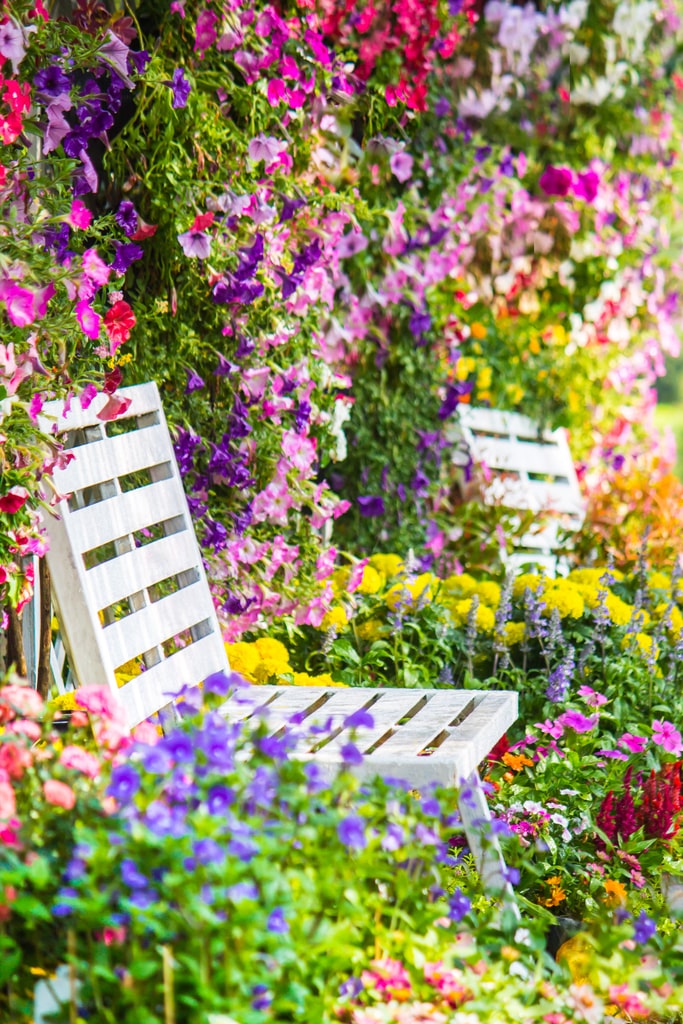 Nella cura del giardino in estate, vanno sempre considerate le diverse necessità idriche e termiche delle piante. Nella foto, un giardino fiorito nel periodo estivo.